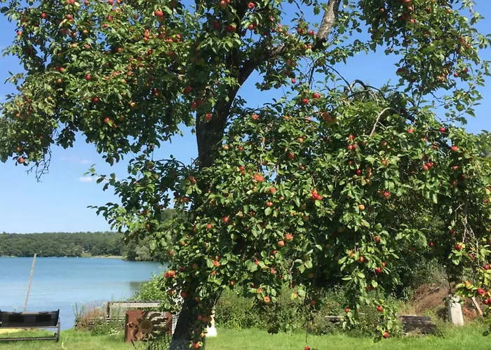 Appartement Forsthaus Am *